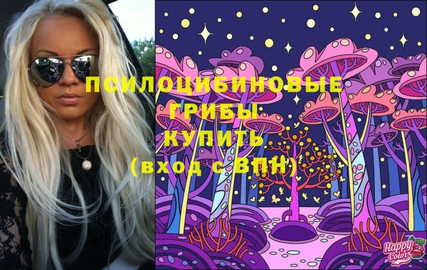 стафф Ладушкин