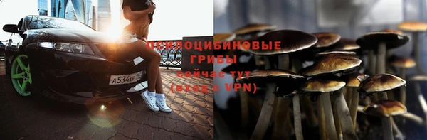 стафф Ладушкин