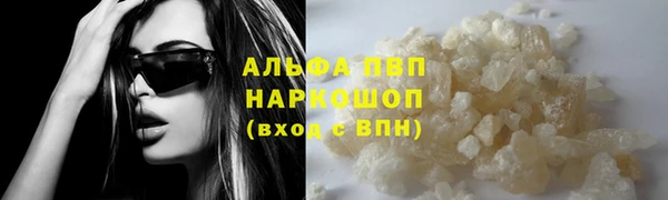 стафф Ладушкин