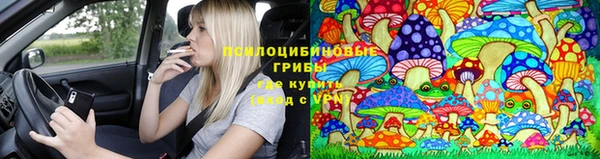стафф Ладушкин